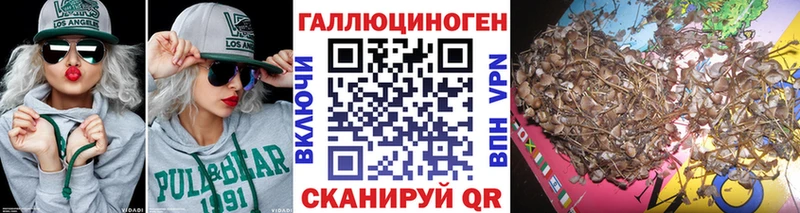 купить закладку  Петров Вал  Псилоцибиновые грибы MAGIC MUSHROOMS 